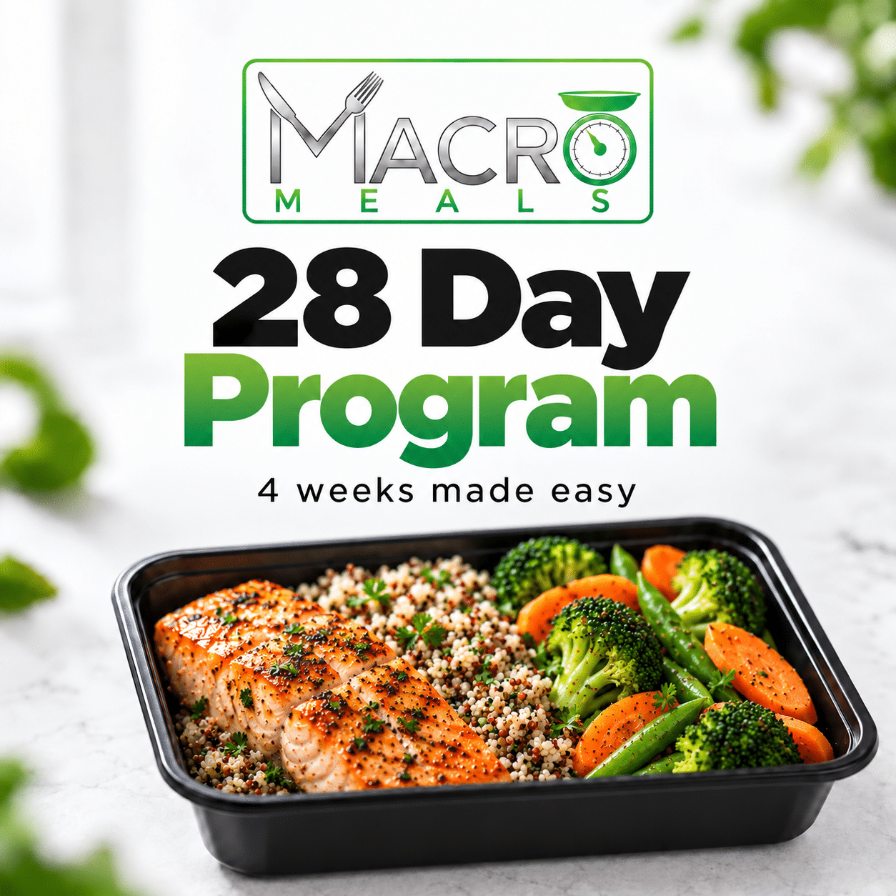 28 Day Program
